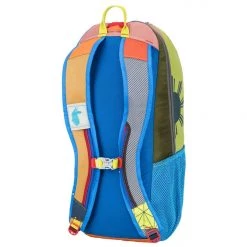 Cotopaxi Luzon Del Dia 24 Liter Backpack