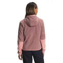 The North Face Mountain Sweatshirt Hoodie Womens