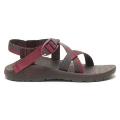 Chaco Z Cloud Sandal Womens 9 Chaco Z Cloud Sandal Womens