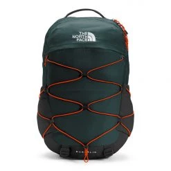 The North Face Borealis Daypack Gear